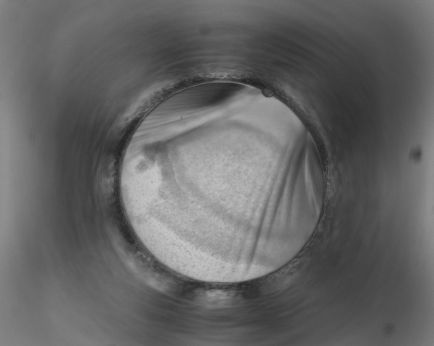 X0000116330163200912221427