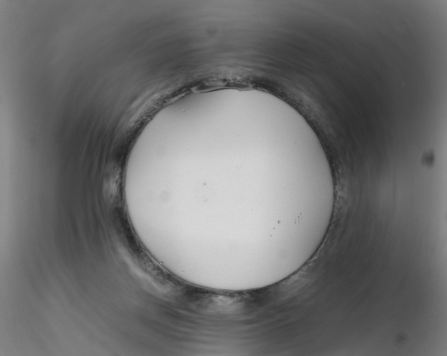 X0000116330166200912221427