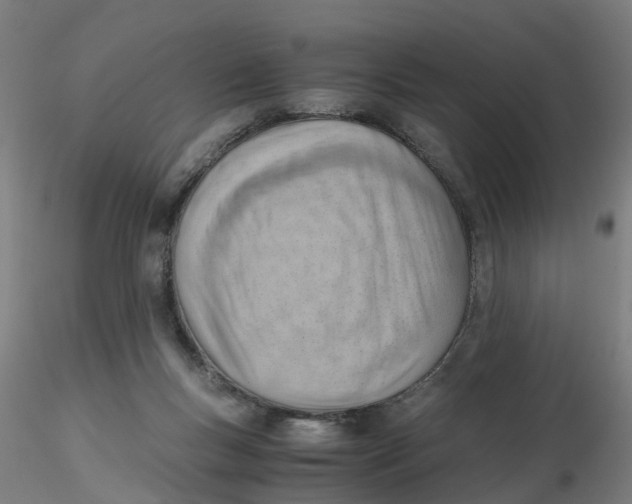 X0000116330167200912221427