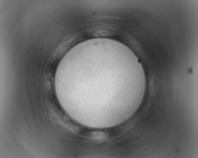 X0000116330169200912221427