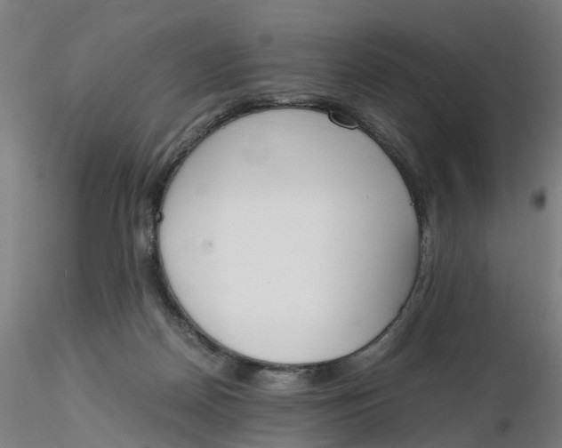 X0000116330170200912221427