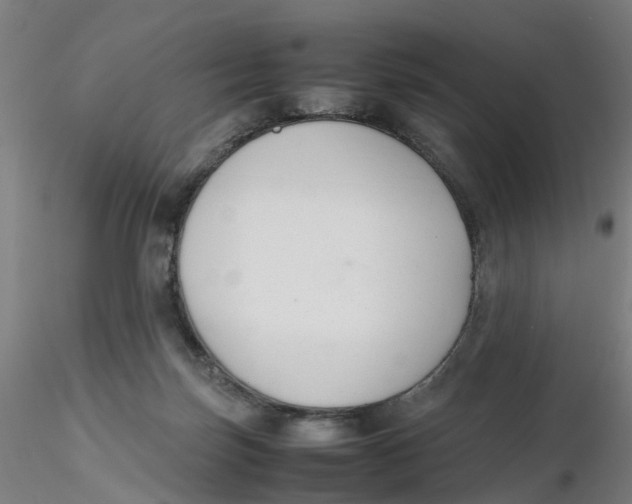 X0000116330171200912221427