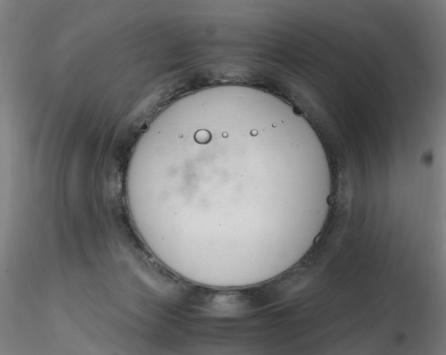 X0000116330173200912221427