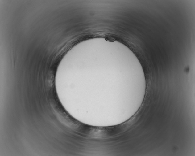 X0000116330174200912221427