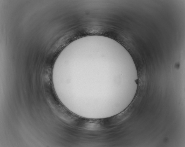 X0000116330175200912221427