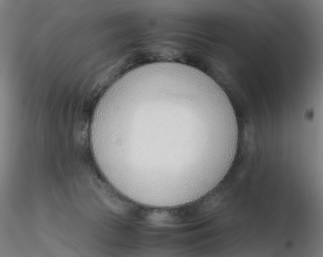 X0000116330177200912221427