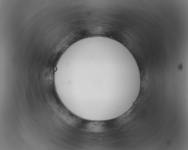 X0000116330179200912221427