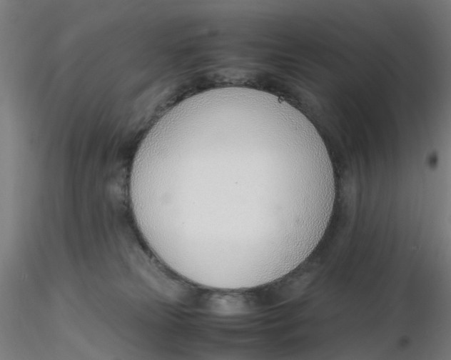 X0000116330181200912221427