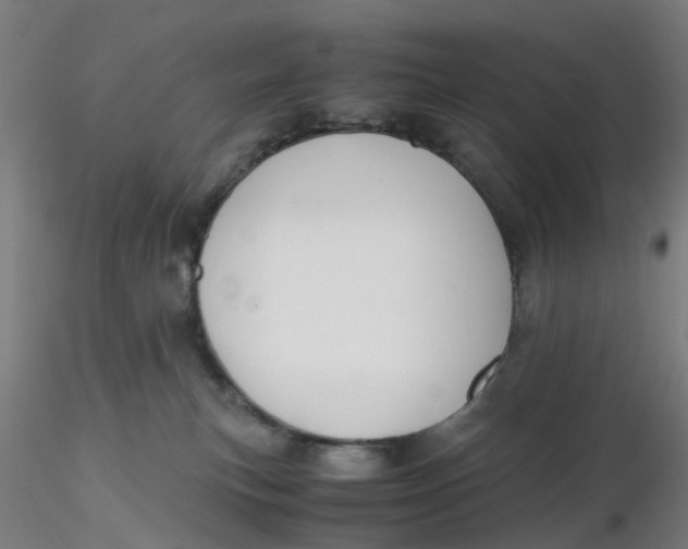 X0000116330183200912221427