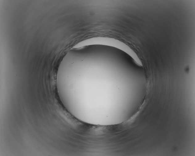 X0000116330186200912221427