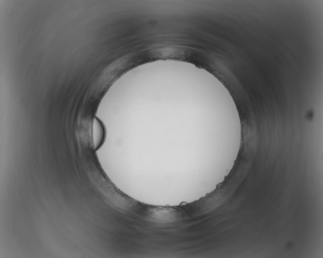 X0000116330189200912221428