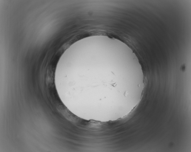 X0000116330190200912221428