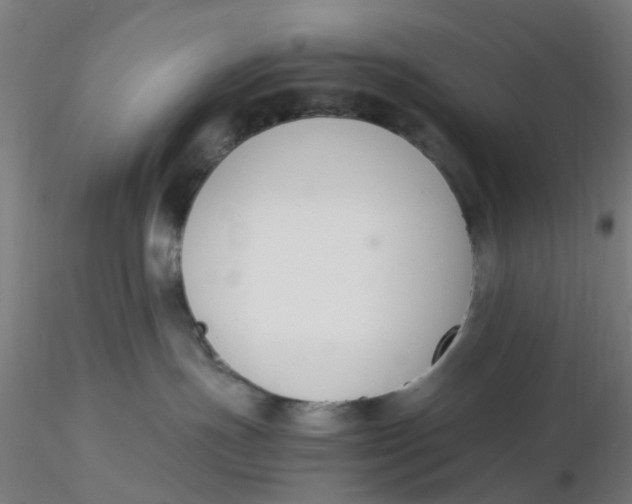 X0000116330191200912221428