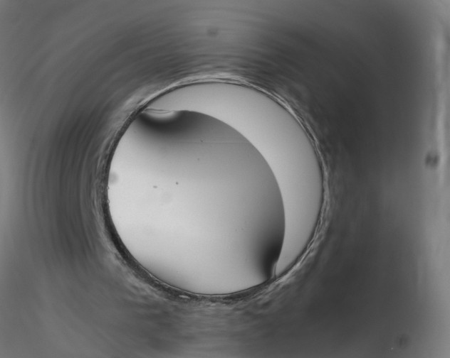 X0000116330193200912221427