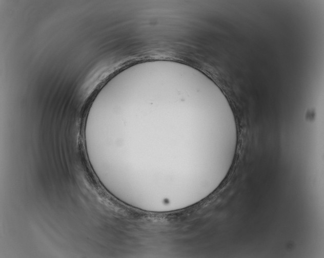 X0000116330194200912221427