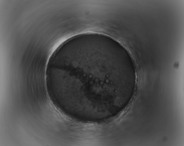 X0000116330196200912221427