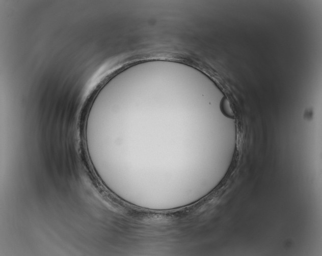 X0000116330198200912221427