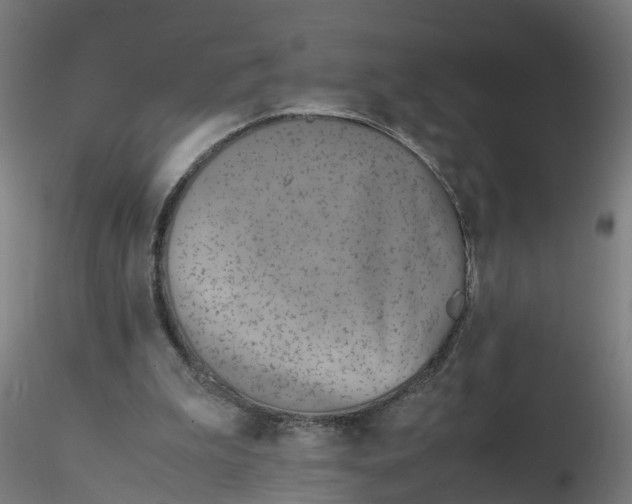 X0000116330199200912221427