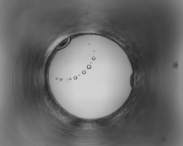 X0000116330200200912221427