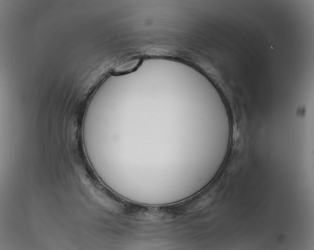 X0000116330201200912221427