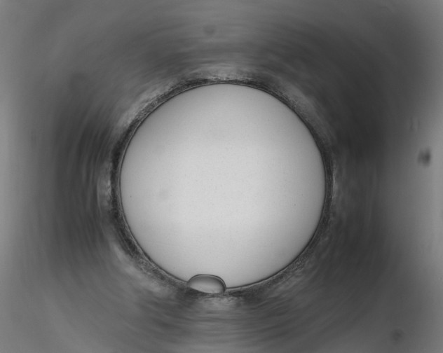 X0000116330202200912221427