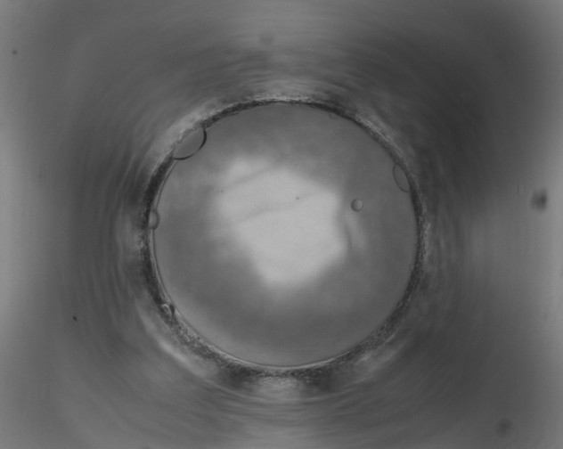 X0000116330203200912221427