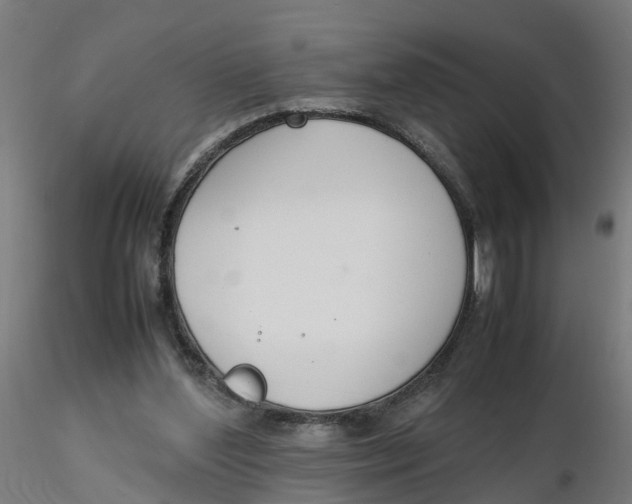 X0000116330204200912221427