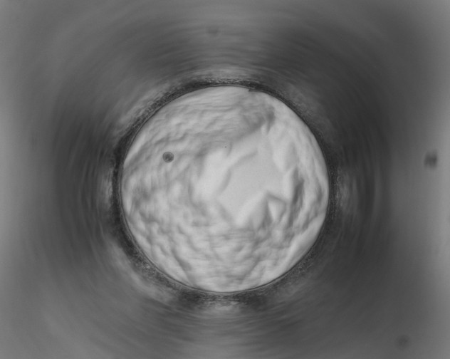 X0000116330206200912221427