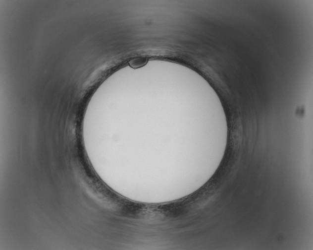 X0000116330207200912221427