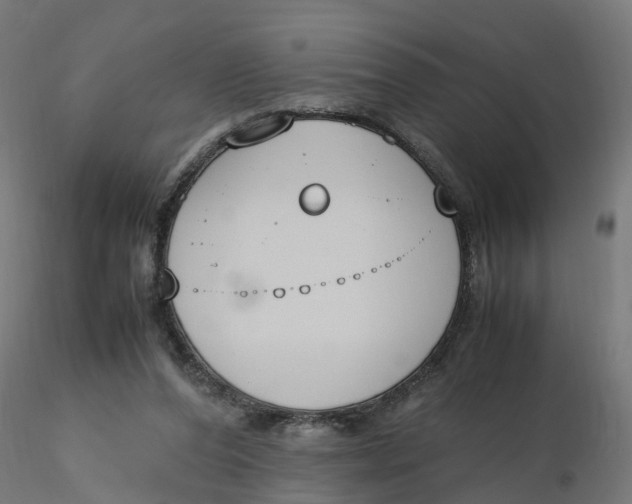 X0000116330208200912221427