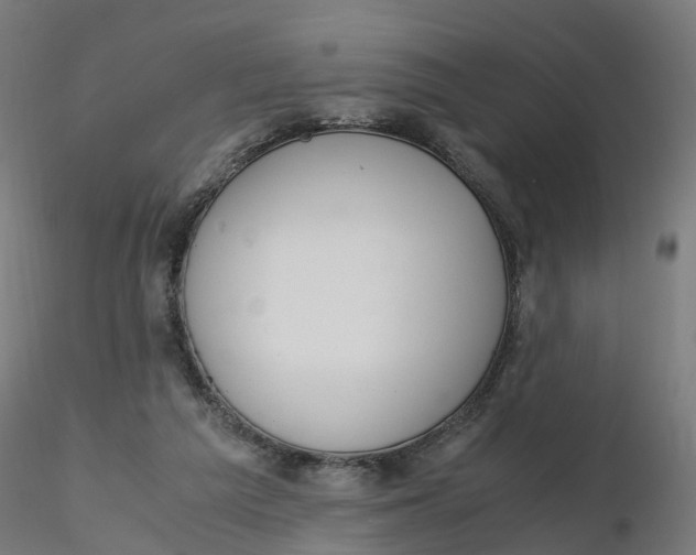 X0000116330209200912221427