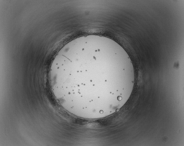 X0000116330210200912221427