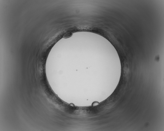 X0000116330211200912221427