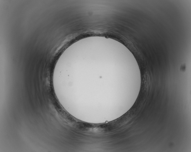 X0000116330212200912221427