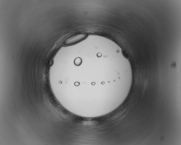 X0000116330216200912221427