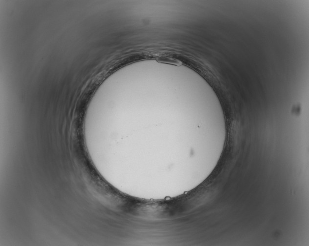 X0000116330217200912221427