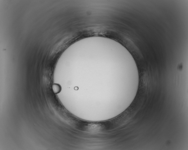 X0000116330218200912221427