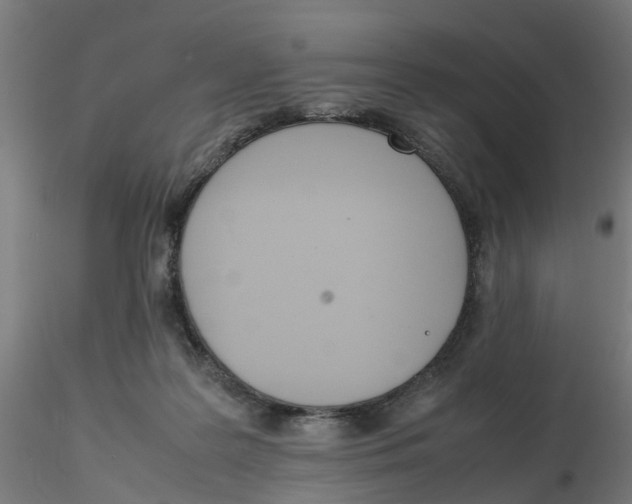 X0000116330219200912221427