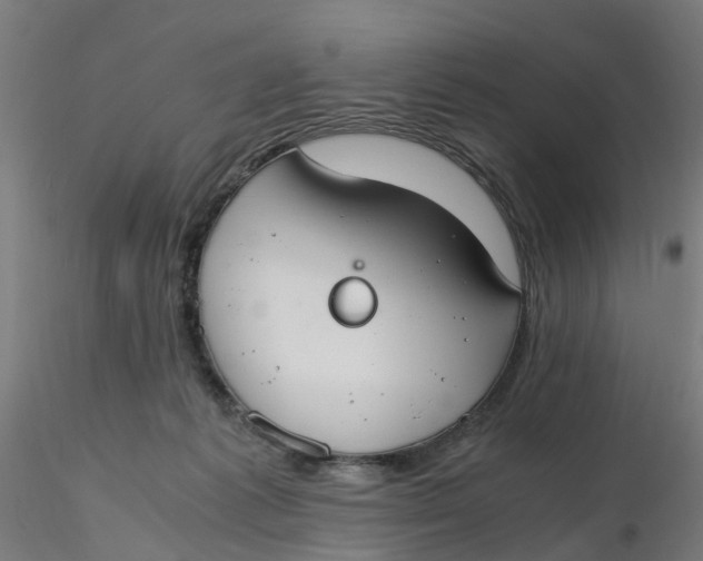 X0000116330221200912221427