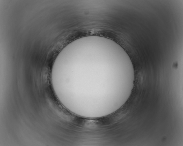 X0000116330222200912221427