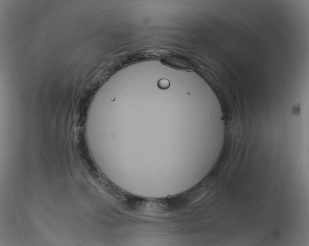 X0000116330223200912221426