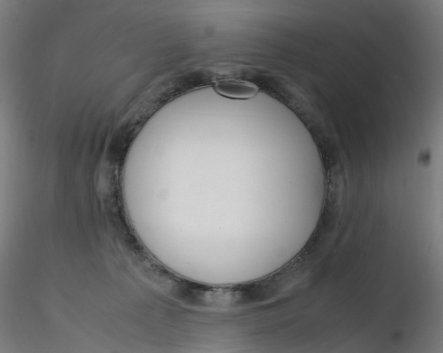 X0000116330225200912221426