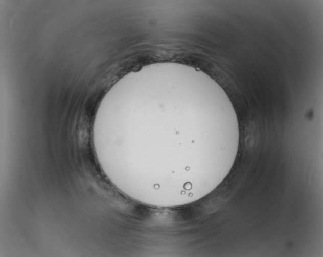 X0000116330226200912221426