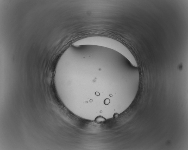 X0000116330227200912221426