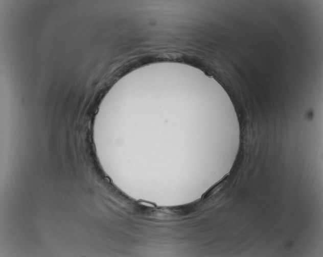 X0000116330229200912221426