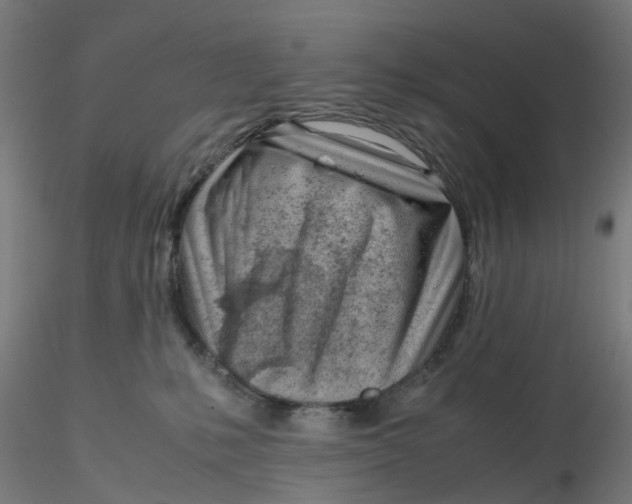 X0000116330231200912221426