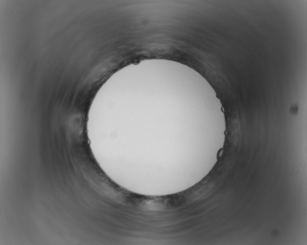 X0000116330232200912221426