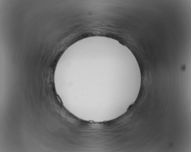 X0000116330233200912221426