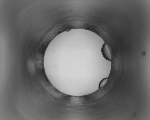 X0000116330234200912221426