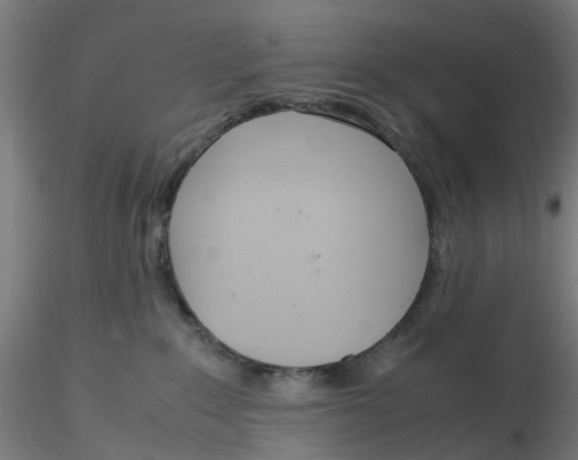 X0000116330235200912221426